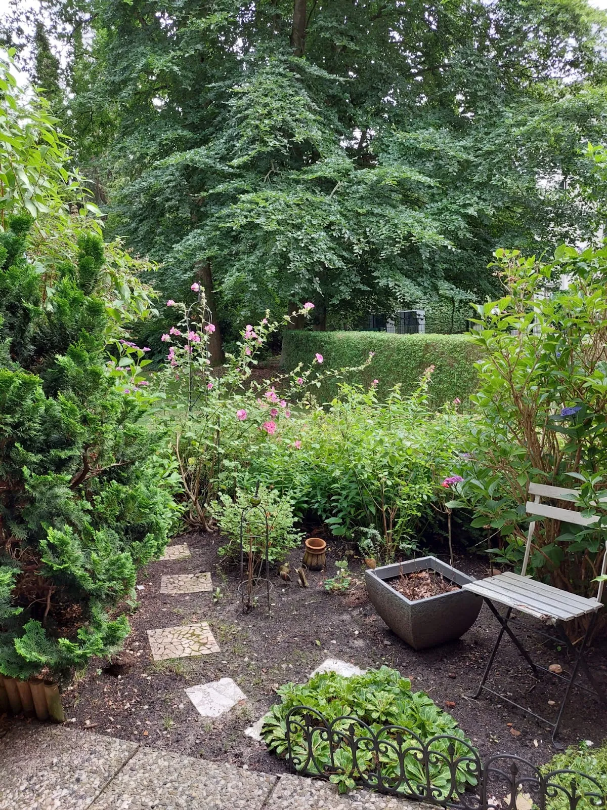 Wohnungsbild 4451