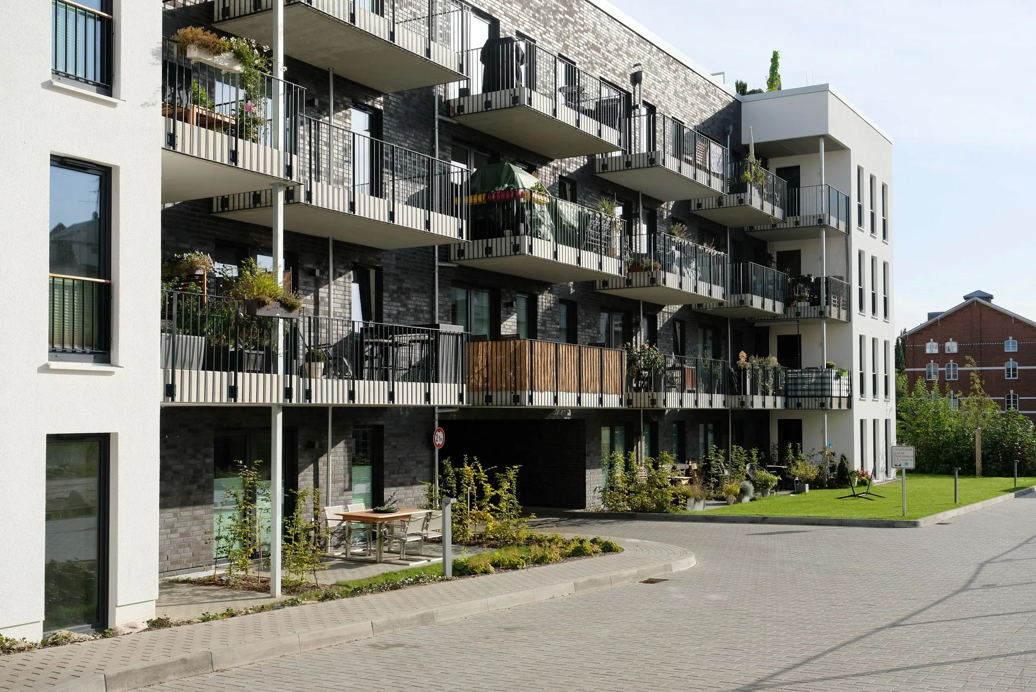 WEG Management 
