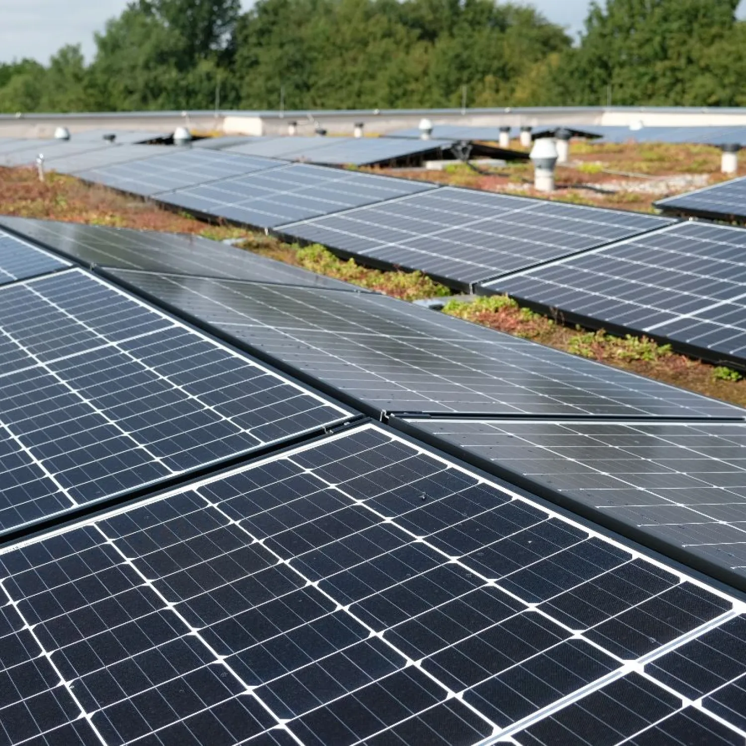 Solar-Energie vom eigenen Haus Nachhaltig, preisstabil, hausgemacht: umweltfreundliche Stromversorgung von FRANK.